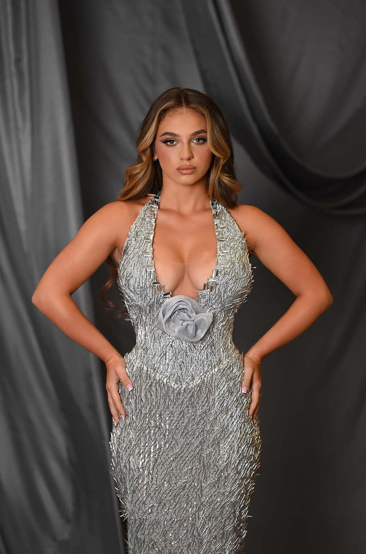 “Celestial Sheen” Dress